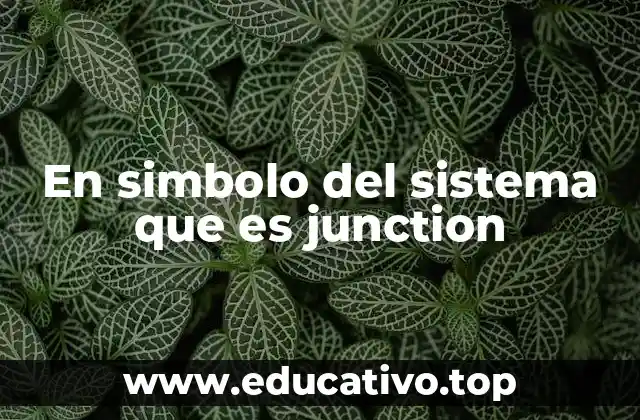 En simbolo del sistema que es junction