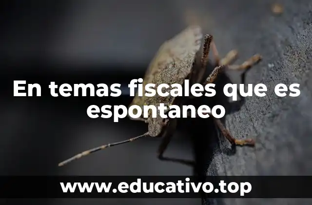 En temas fiscales que es espontaneo
