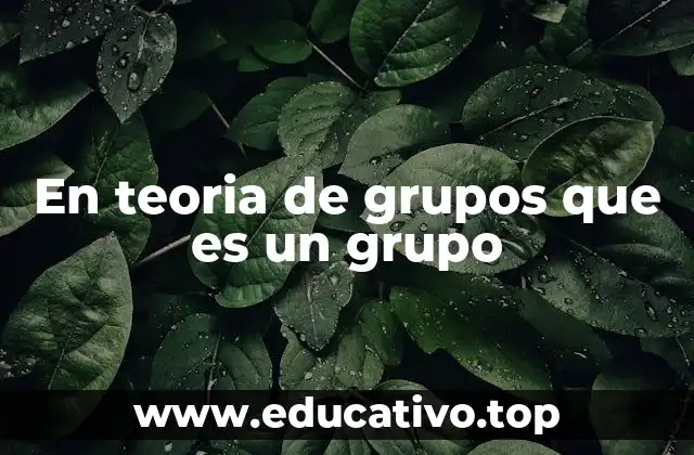 En teoria de grupos que es un grupo