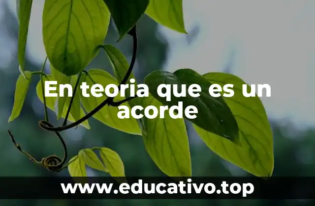 En teoria que es un acorde