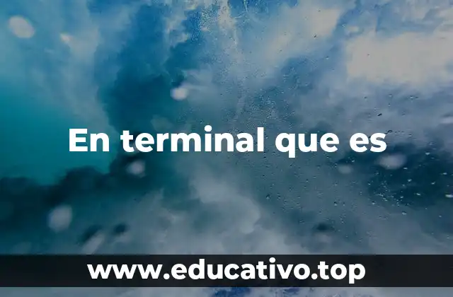 En terminal que es