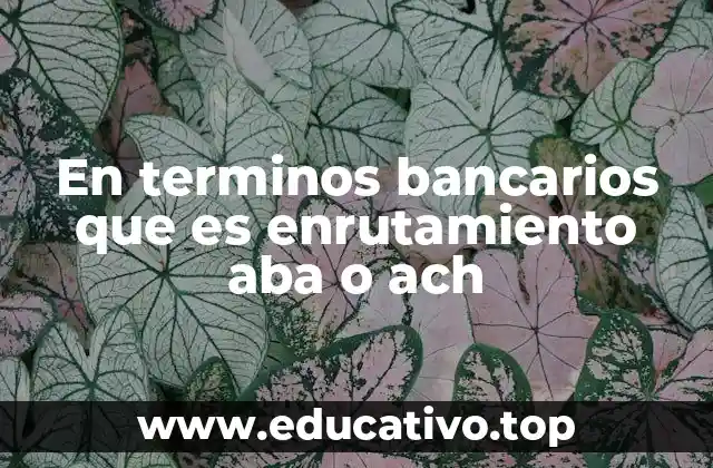 En terminos bancarios que es enrutamiento aba o ach