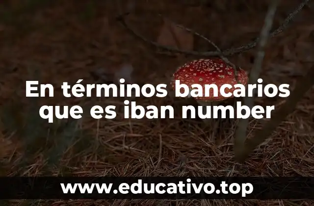 En términos bancarios que es iban number