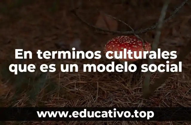 En terminos culturales que es un modelo social