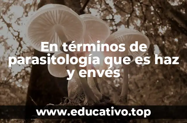 En términos de parasitología que es haz y envés