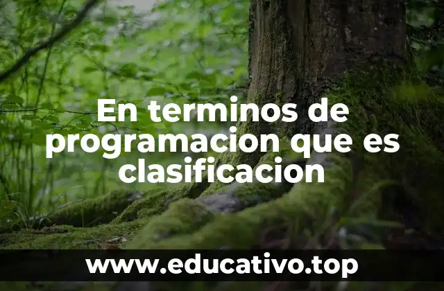 La importancia de la organización en el desarrollo de software