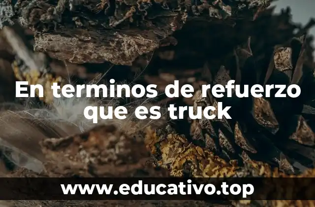 En terminos de refuerzo que es truck