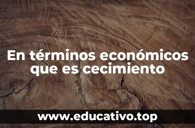 En términos económicos que es cecimiento