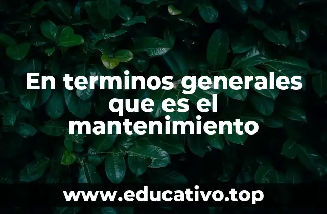 En terminos generales que es el mantenimiento