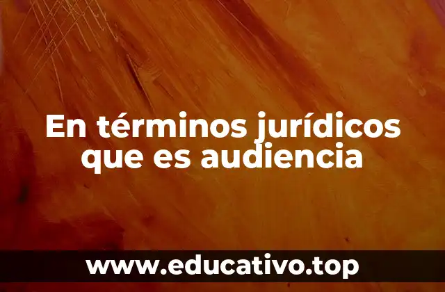 En términos jurídicos que es audiencia