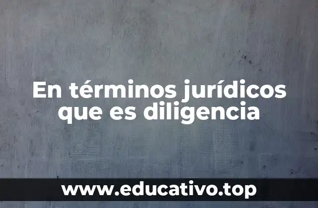 En términos jurídicos que es diligencia