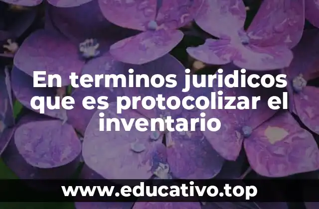 En terminos juridicos que es protocolizar el inventario
