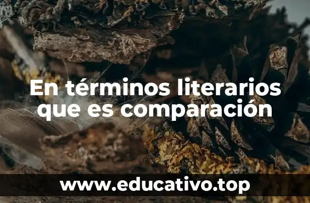 En términos literarios que es comparación
