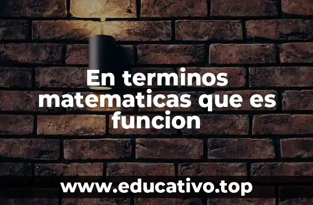 En terminos matematicas que es funcion