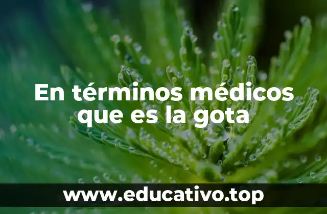 En términos médicos que es la gota