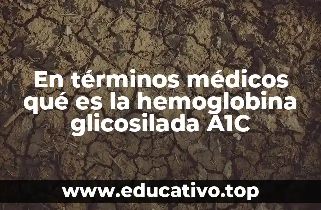 En términos médicos qué es la hemoglobina glicosilada A1C