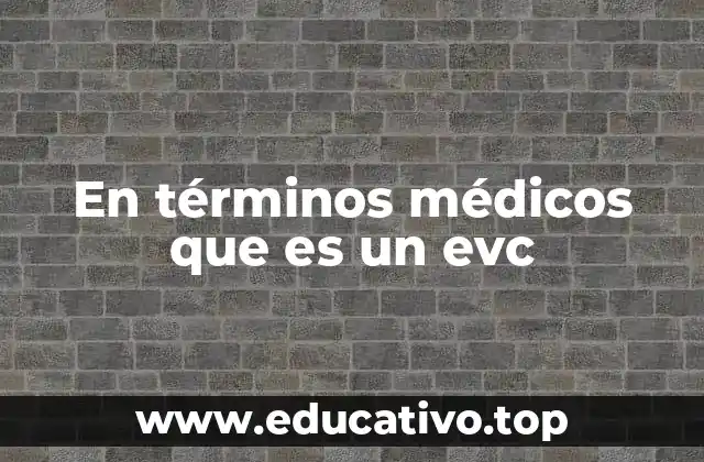 En términos médicos que es un evc