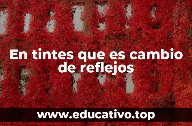 En tintes que es cambio de reflejos