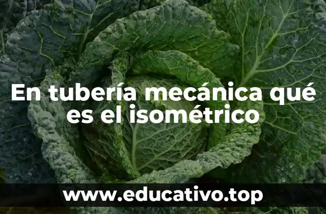 En tubería mecánica qué es el isométrico