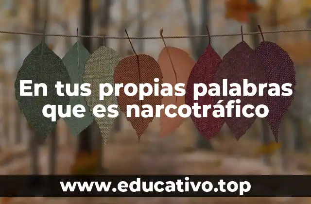 En tus propias palabras que es narcotráfico