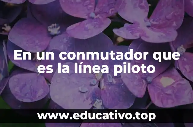 En un conmutador que es la línea piloto