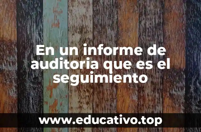En un informe de auditoria que es el seguimiento