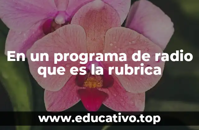 En un programa de radio que es la rubrica