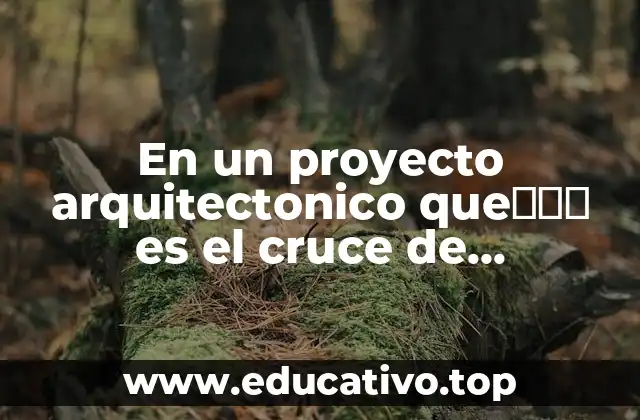 En un proyecto arquitectonico queשטח es el cruce de instalaciones