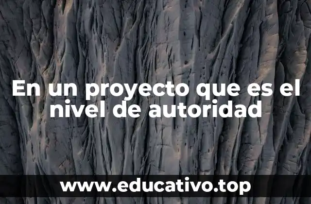 En un proyecto que es el nivel de autoridad