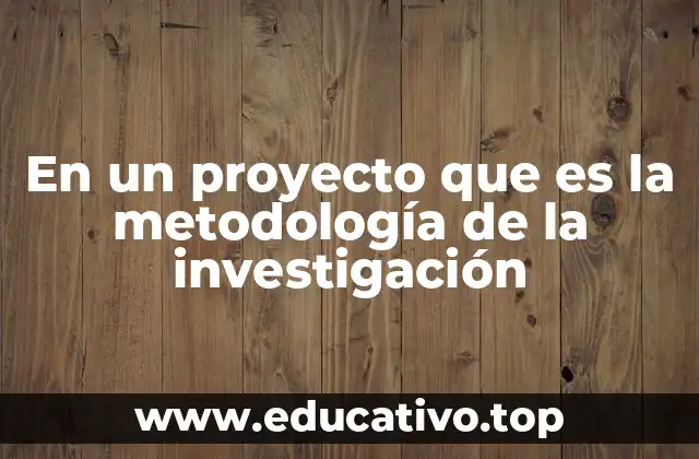 La importancia de un enfoque estructurado en la investigación