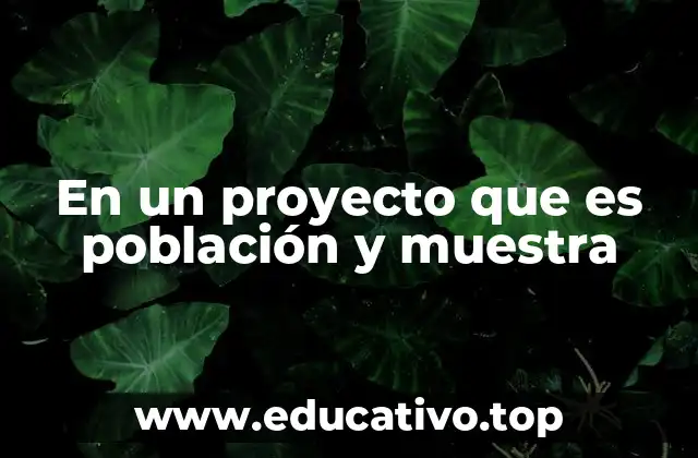 En un proyecto que es población y muestra