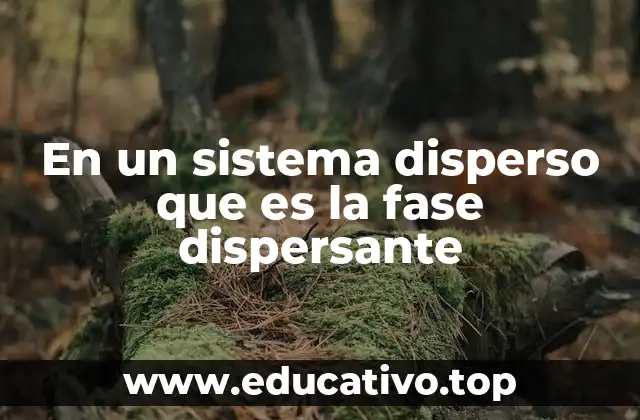 En un sistema disperso que es la fase dispersante