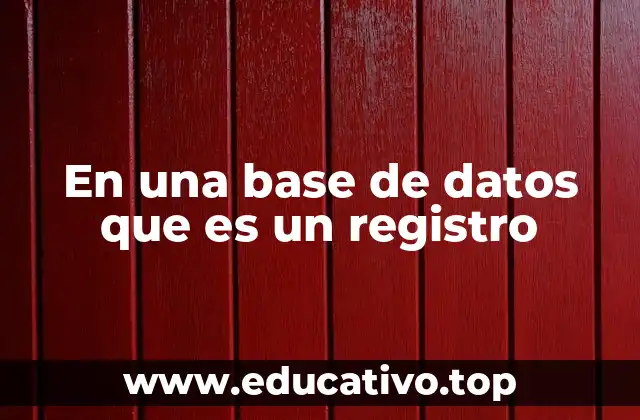 En una base de datos que es un registro
