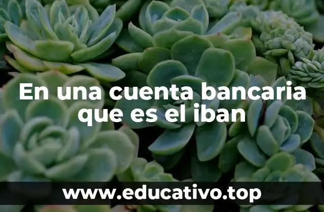 En una cuenta bancaria que es el iban