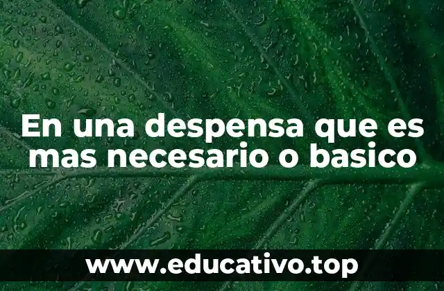 En una despensa que es mas necesario o basico