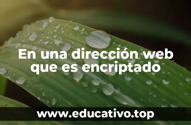 En una dirección web que es encriptado