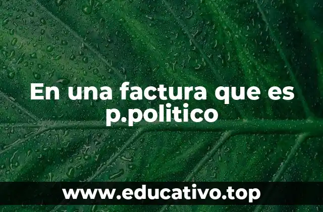 En una factura que es p.politico
