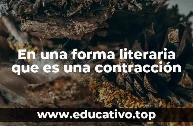 Las contracciones como herramienta estilística en la literatura