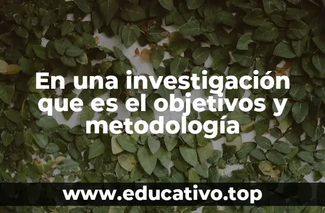En una investigación que es el objetivos y metodología