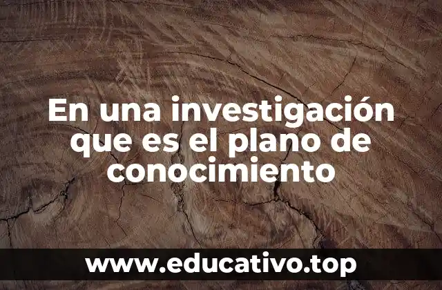 En una investigación que es el plano de conocimiento