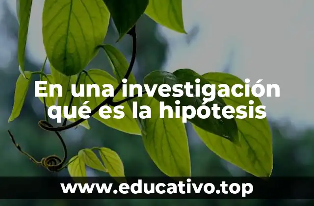 En una investigación qué es la hipótesis