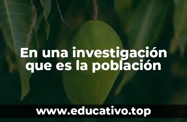 Importancia de definir la población en una investigación
