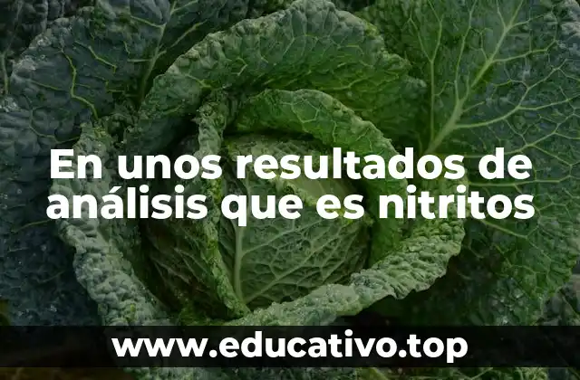 En unos resultados de análisis que es nitritos
