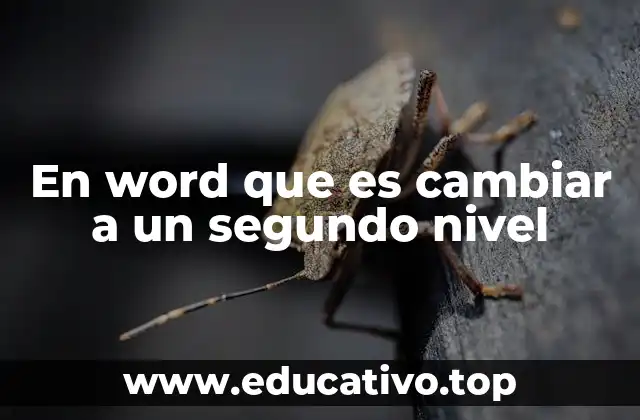 En word que es cambiar a un segundo nivel