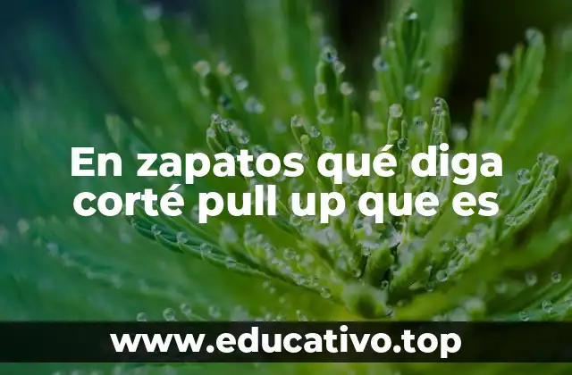 En zapatos qué diga corté pull up que es