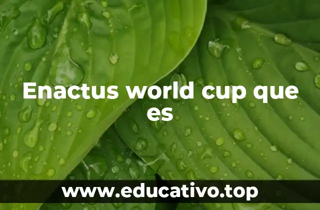 Enactus world cup que es