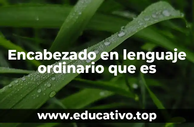 La importancia de los encabezados claros en la comunicación efectiva