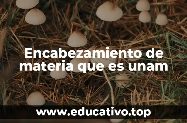 Encabezamiento de materia que es unam