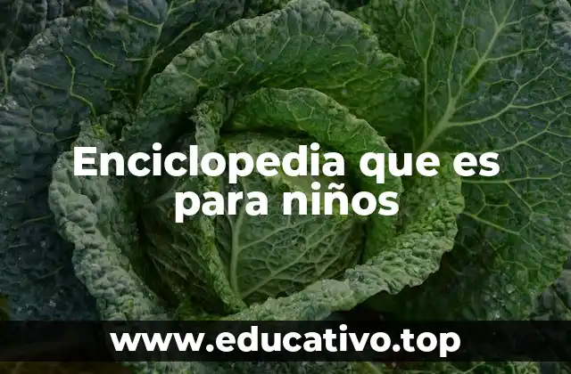 Enciclopedia que es para niños