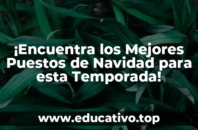 ¡Encuentra los Mejores Puestos de Navidad para esta Temporada!